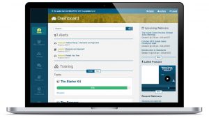 Automated Web Application Testing