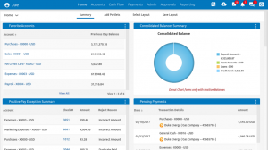 Customize Micro Finance Software