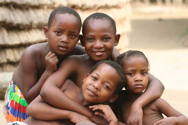 Customized Web Design For Non Profit Organizations